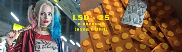 ешки Вязьма