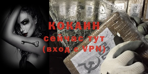 тгк Вяземский