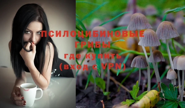 ешки Вязьма