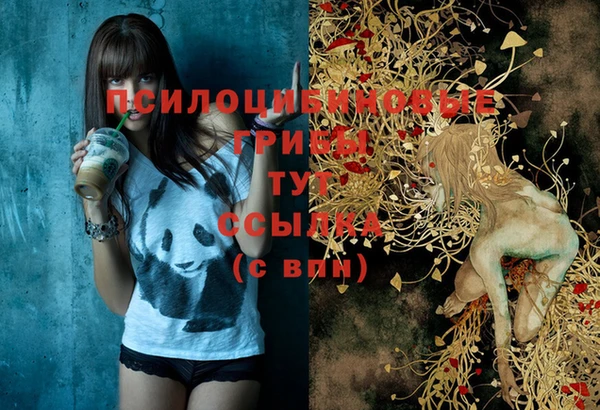 тгк Вяземский