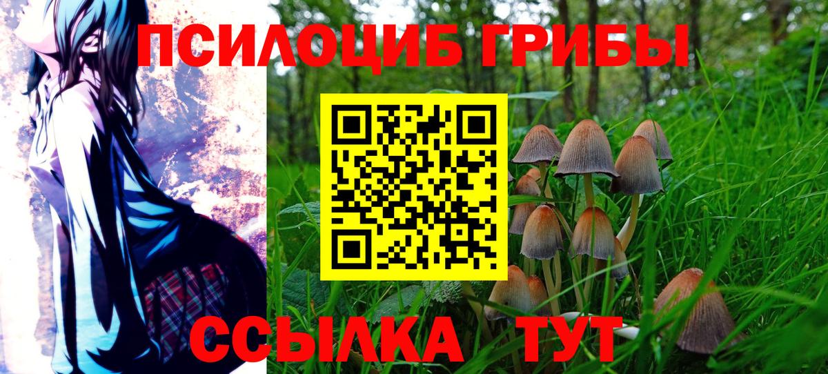 Галлюциногенные грибы GOLDEN TEACHER  Вход с VPN  Вязьма  купить закладку  Галлюциногенные грибы Magic Shrooms 