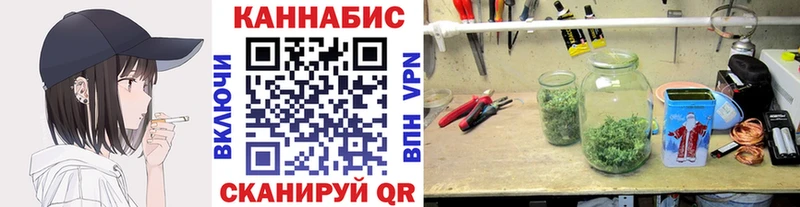 Бошки марихуана OG Kush  Вязьма 